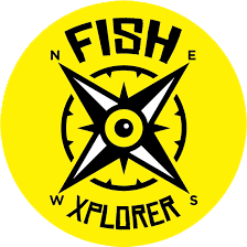 Team logo Fish Xplorer